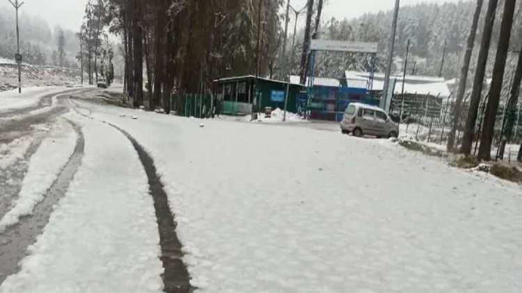 کشمیر میں پہلی برف باری