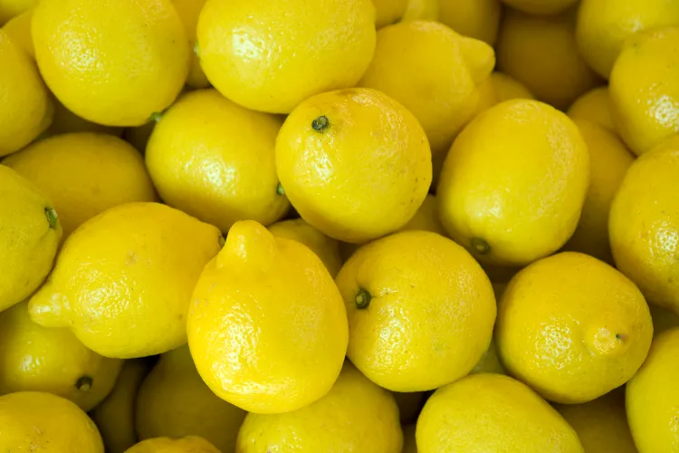 شاہجہاں پور:60 کلو گرام لیموں چوری