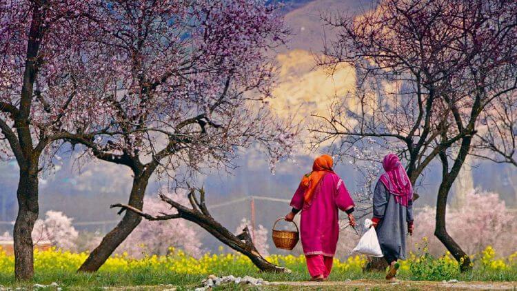 کشمیر کے وجود کی خصوصیات ہے کشمیریت