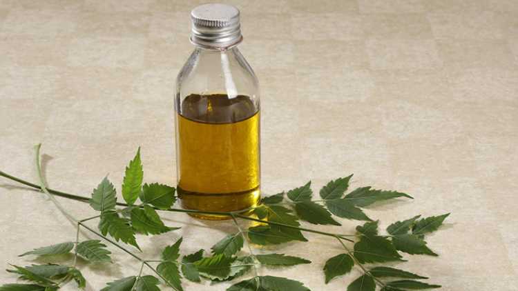 نیم کا تیل:حیرت انگیز فائدوں سے واقف ہیں آپ؟