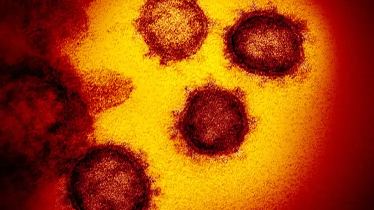 کورونا وائرس کی ایک اور نئی قسم ایم یو سامنے آ گئی

