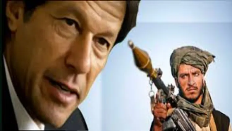 طالبان او عمران خان کا پریم