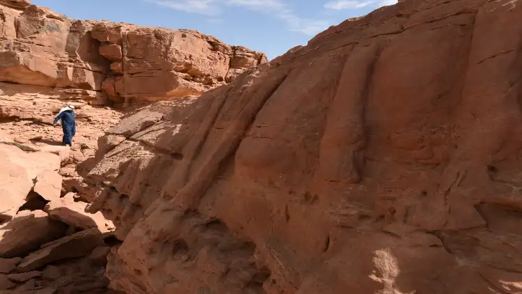سعودی عرب:چٹانوں پر کندہ قریباً7000سال پرانے نقش ونگاردریافت

