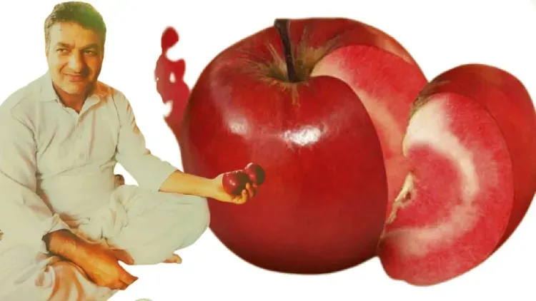 کشمیر کا سیب: اندر سے بھی لال اوپر سے بھی لال