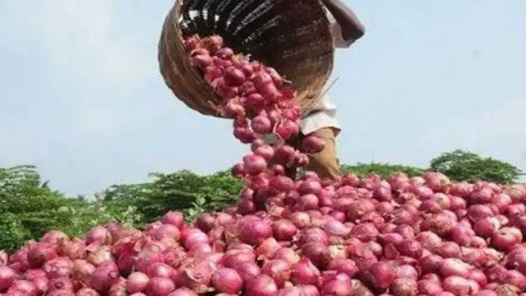 پیازکی ذخیرہ اندوزی کرنے والوں کے ٹھکانوں پرچھاپہ ماری

