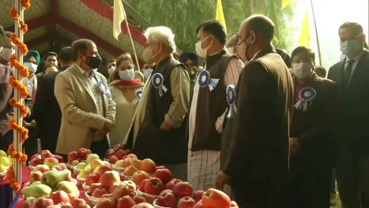 کشمیر میں سیب فیسٹول کا آغاز