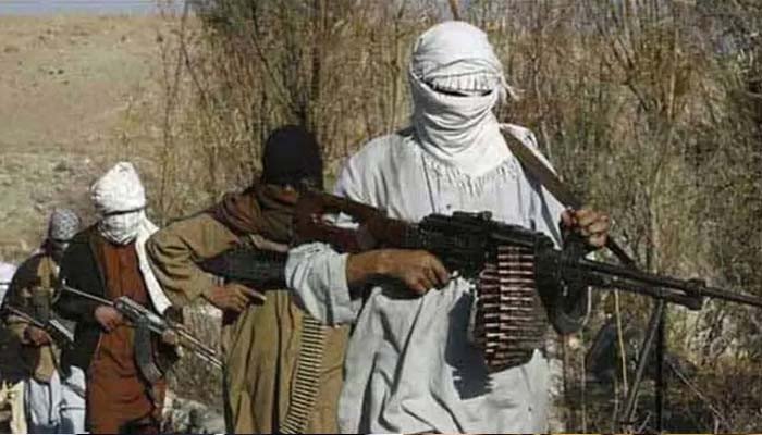 پاکستان :  تحریک طالبان پاکستان کا 9 نومبر سے ایک ماہ کیلئے سیزفائر 