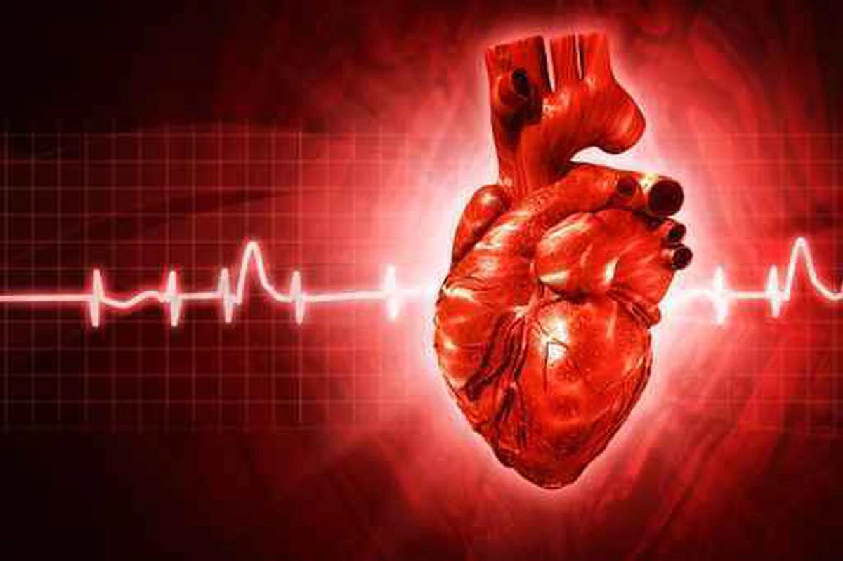 کیا چکنائی دل کی صحت کے لیے مفید ہوسکتی ہے؟
