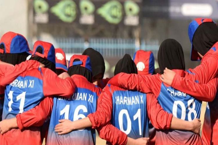 افغانستان میں خواتین کو کرکٹ کھیلنے کی اجازت ہے: سربراہ افغان کرکٹ بورڈ