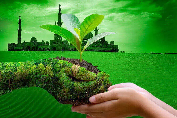 اسلام کی نظر میں تحفظ ماحولیات کی اہمیت
