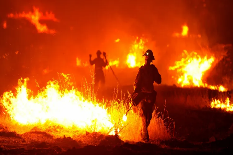 امریکہ :جنگل کی آگ سے تقریباً ایک ہزار مکان تباہ