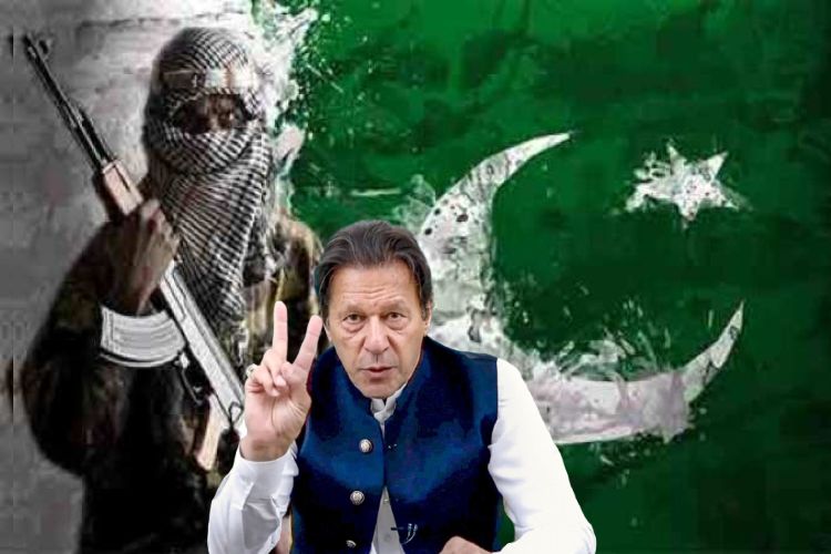 پاکستان: شدت پسندوں سے مذاکرات مگر دہشت گردی میں اضافہ