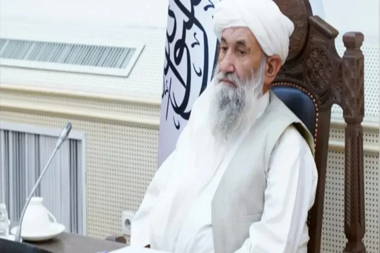 طالبان نے کی مسلم ممالک سے حکومت  تسلیم کرنے اپیل
 
