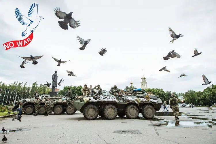  روس یوکرین جنگ: مہاجر پرندے بھی ہو رہے ہیں متاثر