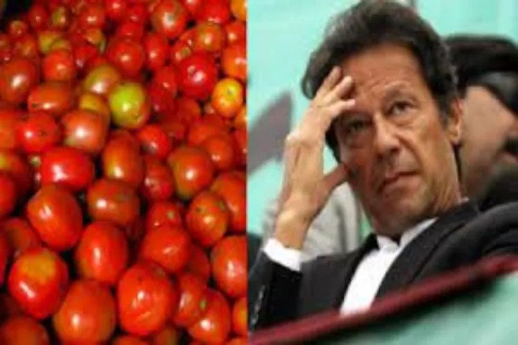 آلو ٹماٹر کی قیمت جاننے کے لیے سیاست میں نہیں آیا، عمران خان