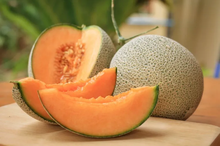 خربوزہ:موسم گرما کا ایک مفید پھل  