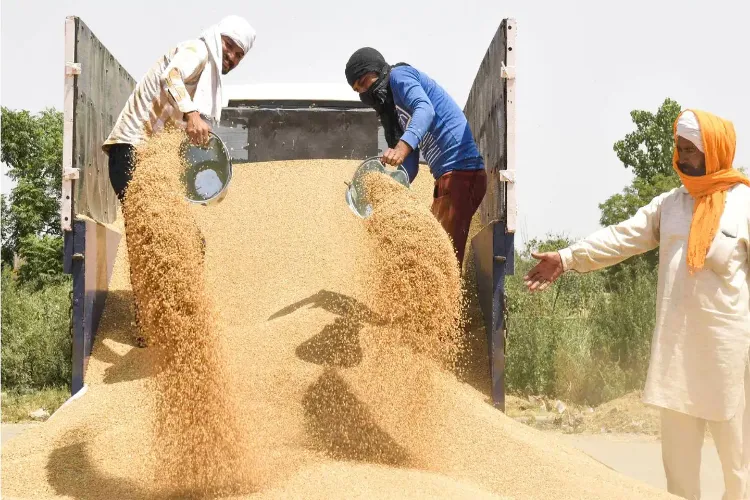 ہندوستان کی گیہوں کی ایکسپورٹ پر پابندی۔  کیوں چین نے کی حمایت