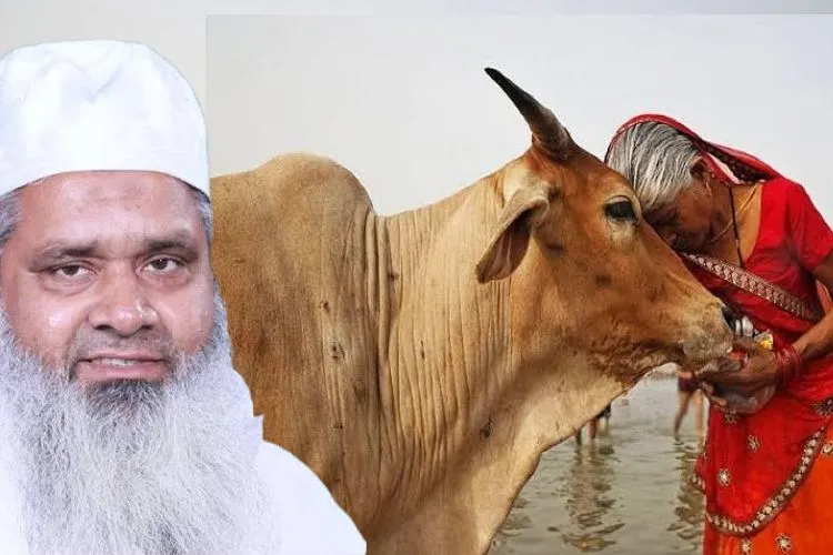   گائے کی قربانی سے اجتناب کریں مسلمان،مولانابدر الدین اجمل  

