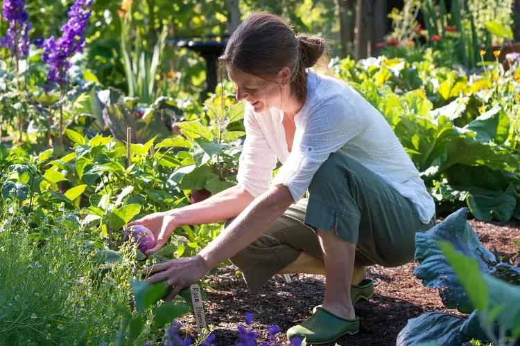  کیا باغبانی ڈپریشن کو کم کرتی ہے؟
