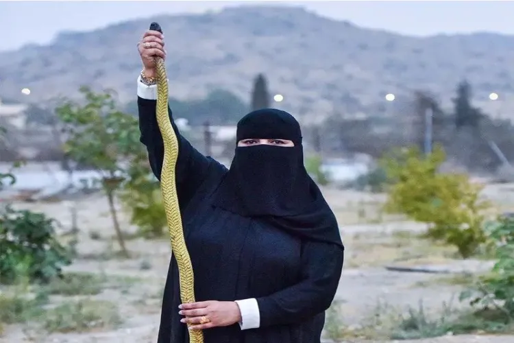  سعودی عرب: زہریلے سانپوں کو پالنے کی ماہر سھی الزھرانی