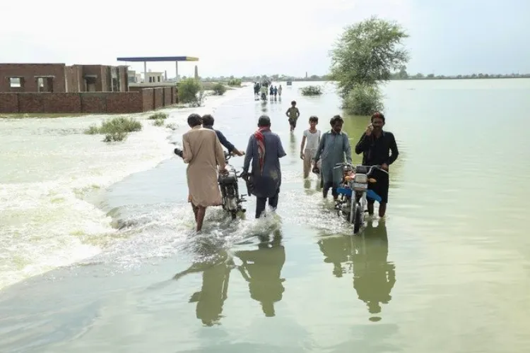 پاکستان میں سیلاب: ہندوستان سے سبزیاں منگوانے کی تجویز