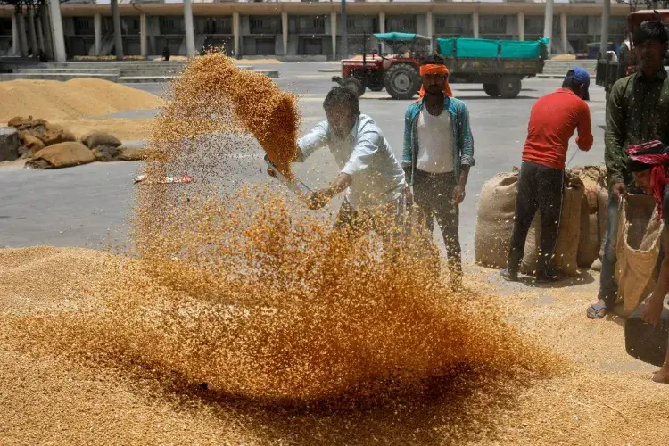 ربیع فصلوں کےایم ایس پی میں 500 روپے فی کوئنٹل کا اضافہ 