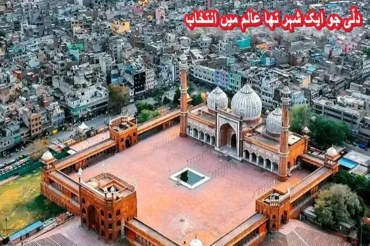 شاہجہان آباد: دلّی جو ایک شہر تھا عالم میں انتخاب