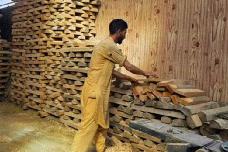  ون ڈے ورلڈ کپ: بین الاقوامی کرکٹرز  کریں گے کشمیر ولو بلے کا استعمال
