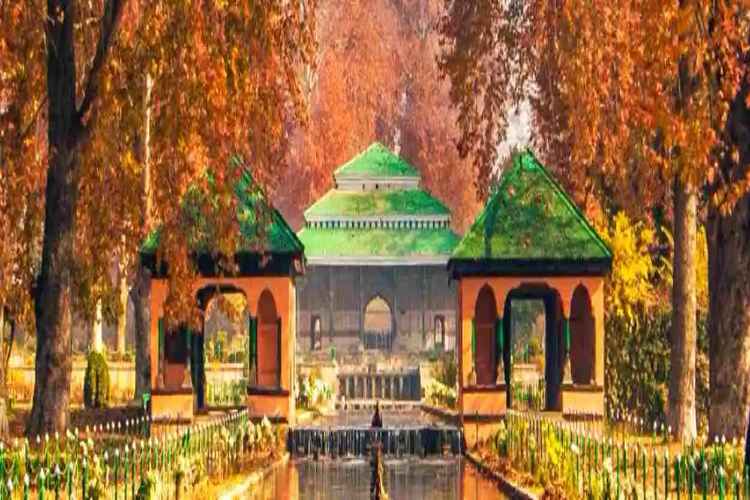 کشمیر: موسم خزاں کی دلفریب خوبصورتی - مغل باغات میں سیاحوں کا ہجوم
