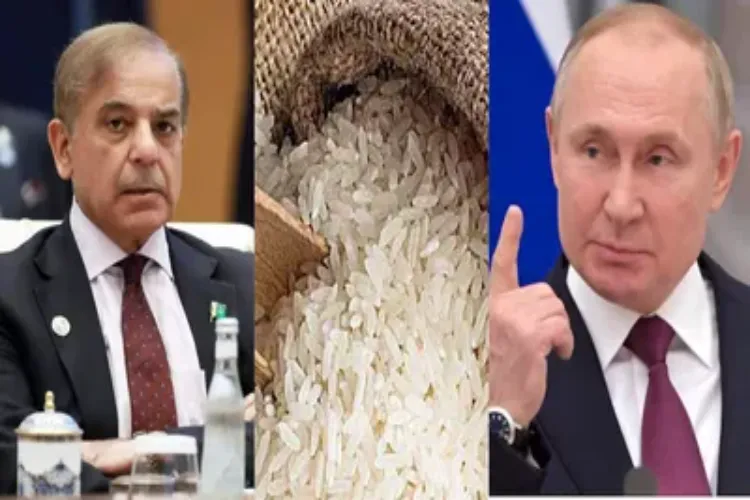 پاکستان کے سڑے چاول بھیجنے پر روس برہم، کہا خود کو بہتر کرو ورنہ