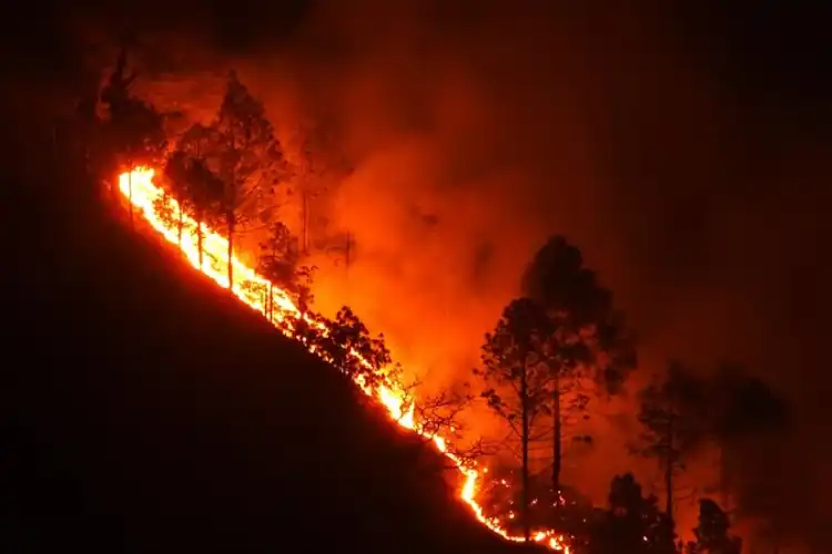 اتراکھنڈ: جنگلات میں بھڑک اٹھے شعلے، سانس لینا دشوارہوا