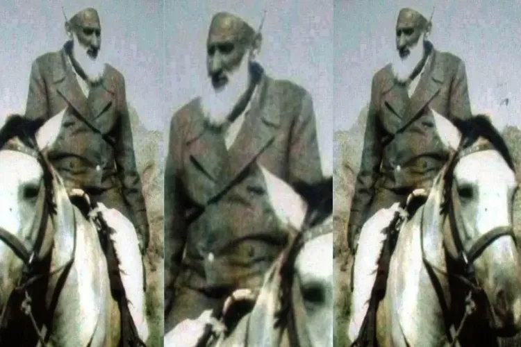 جنگ آزادی کے گمنام مجاہد: انقلابی تحریک کے قائد حاجی    تُرنگزئی

