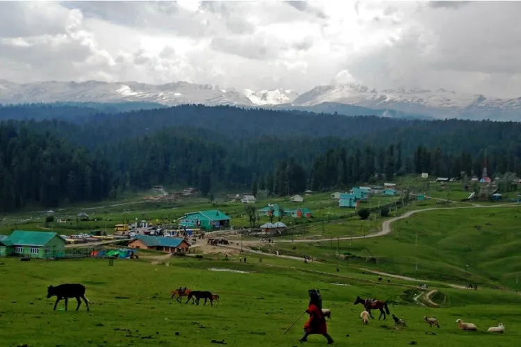  حکومت نے کشمیر میں 87 میں سے 48 سیاحتی مقامات بند کر دیے