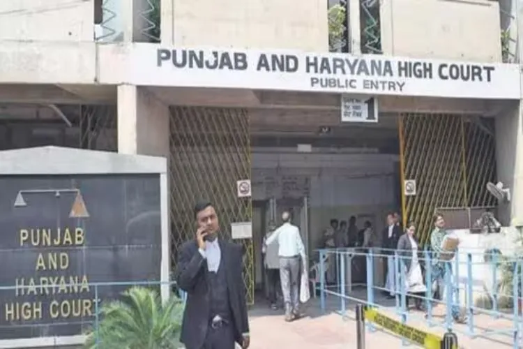 گائے کی منفرد حیثیت ہے، ذبیحہ سے امن متاثر ہوسکتا ہے : پنجاب اور ہریانہ ہائی کورٹ