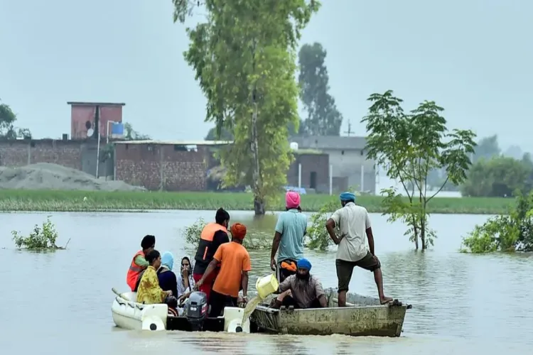 پنجاب: سیلاب سے فصلیں تباہ، 3.5 لاکھ افراد متاثر