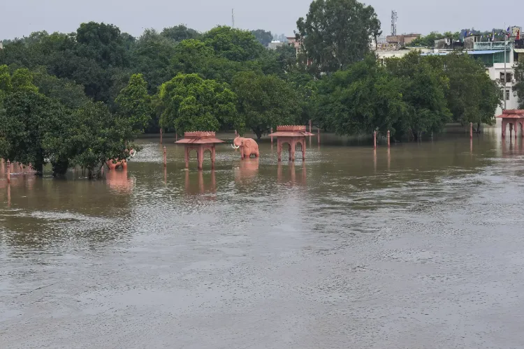 دہلی:خطرے کے نشان سے اوپر بہہ رہی ہے جمنا