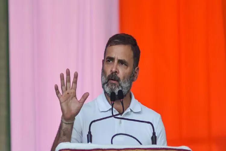 مدراس ہائی کورٹ۔ راہل گاندھی کے الزامات پر مبنی پی آئی ایل خارج ، درخواست گزار پر جرمانہ عائد