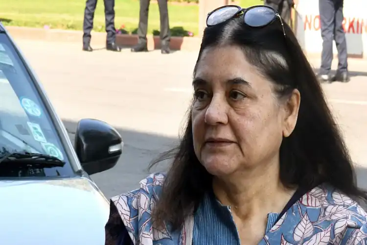 آلودگی کا سبب کبوتر نہیں،پٹاخے ہیں: مینکا گاندھی