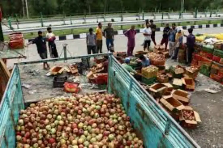 کشمیر:ہزاروں ٹرک اور سڑتے ہوئے سیب