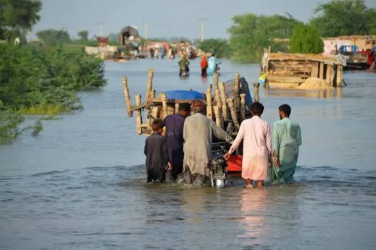 پاکستانی حکومت کا اعتراف: سیلاب مہنگائی بڑھائیں گے اور خوراک کی فراہمی متاثر ہوگی