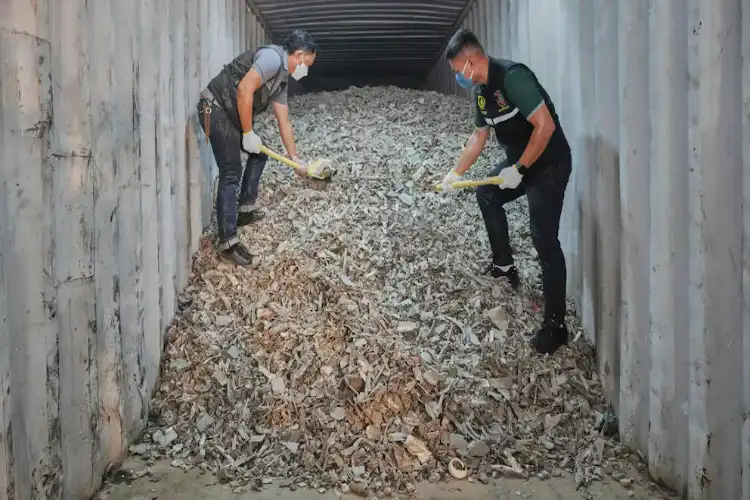 امریکی الیکٹرانک فضلہ جنوب مشرقی ایشیا میں سونامی کا باعث بن رہا ہے۔ امریکی الیکٹرانک فضلہ جنوب مشرقی ایشیا میں سونامی کا باعث بن رہا ہے۔