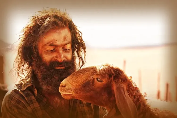 کیا ایک ملیالم فلم  نے سعودی عرب کو کفالہ نظام کو ختم کرنے پر مجبور کیا