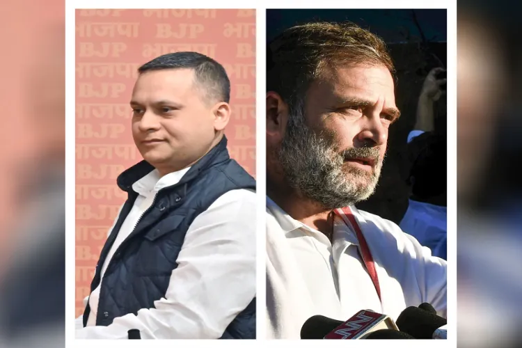 بی جے پی کے مالویہ نے راہل گاندھی پر تنقید کی
