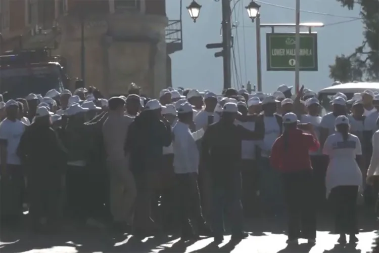 بی جے پی نے شملہ میں 