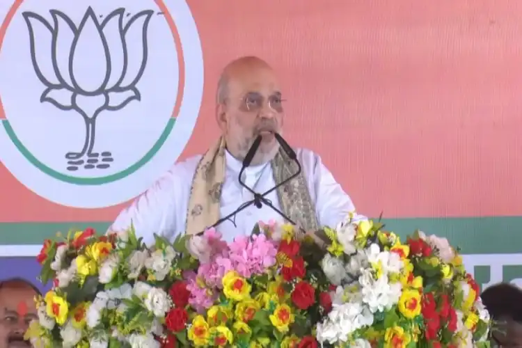 لالو اور سونیا گاندھی کو صرف اپنے بیٹوں کی فکر :امت شاہ