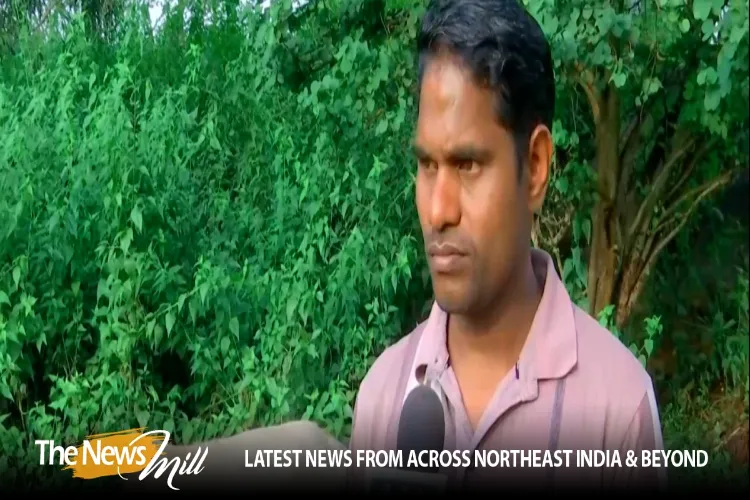 سابق نکسل رہنما نے باقی ساتھیوں سے ہتھیار ڈالنے کی اپیل کی، کہا: 