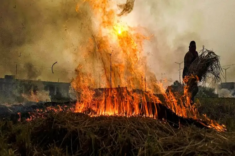 پنجاب اور ہریانہ میں فصل کی باقیات جلانے سے دہلی کی متاثر،سپریم کورٹ نے سماعت کی