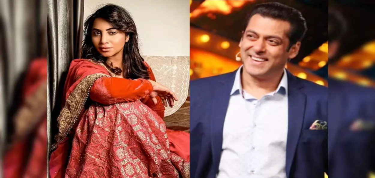 سلمان خان اب دبنگ نہیں رہے: عرشی خان