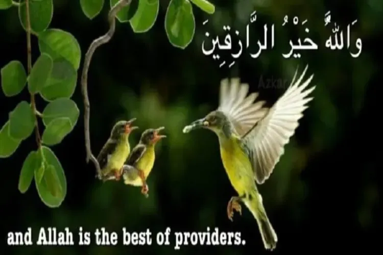 اسلام میں رزق کا مفہوم