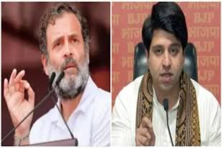  شہزاد پونا والا کی راہل گاندھی پر تنقید